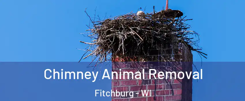 Chimney Animal Removal Fitchburg - WI