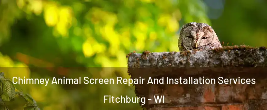  Chimney Animal Screen Repair And Installation Services Fitchburg - WI