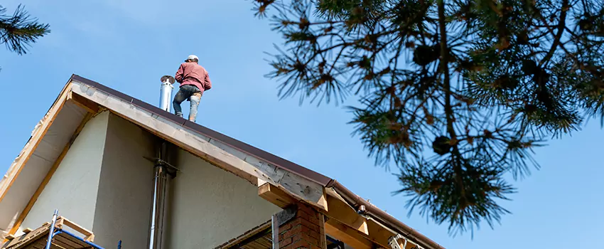 Birds Removal Contractors from Chimney in Fitchburg, WI