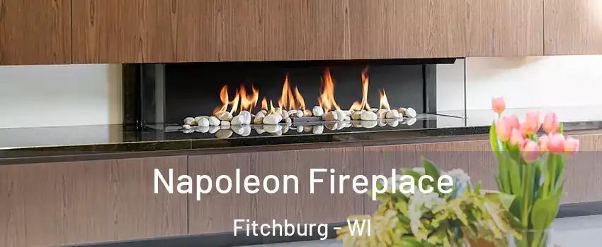 Napoleon Fireplace Fitchburg - WI
